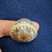 انگشتر شجر نقره واقعا تک ، سایز 63،|کلکسیون اشیاء عتیقه|بومهن, |دیوار