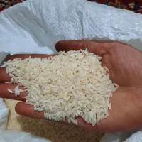 برنج