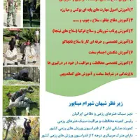 آموزش کلاسهای دفاع شخصی ورزمی