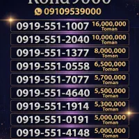0919-551-1007کد نیشابور
