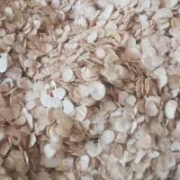 موسیر خشک