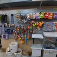 آکواریم ماهی  گوپی اسکار سیچلاید  آروانا مولی|ماهی|ری, فیروزآبادی|دیوار