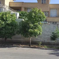 مالک هستم خواهان مشارکت در ساخت