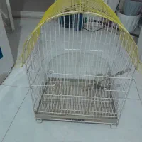 قفسپرنده|لوازم جانبی حیوانات|قزوین, |دیوار