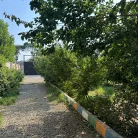 فروش باغ|فروش زمین و ملک کلنگی|رباط‌کریم, رباط‌کریم|دیوار