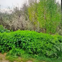 اسکان خونه ویلایی