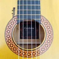 گیتار کلاسیک cordoba|گیتار، بیس، امپلیفایر|میناب, |دیوار