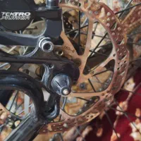 دوچرخه|دوچرخه، اسکیت، اسکوتر|تربت‌حیدریه, کلاته توکلی|دیوار