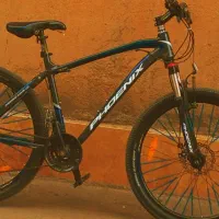 دوچرخه ‌فونیکس