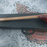 ستار|سازهای سنتی|تهران, آرژانتین|دیوار