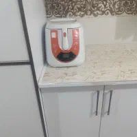 سرخ کن روغنی