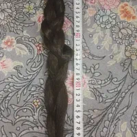 موی طبیعی|آرایشی، بهداشتی، درمانی|رباطکریم, رباطکریم|دیوار