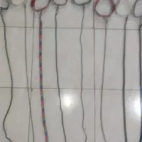 قلاده سگ