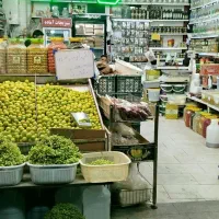 آبغوره، رب ،شیره انگور ،خیار شور پروبیوتیکی|خوردنی و آشامیدنی|کاشمر, |دیوار