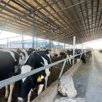 استخدام حسابدار انبار