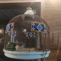 قفس سهره