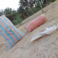 کاه گندم