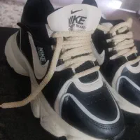 کفش نو|کیف، کفش، کمربند|دوگنبدان, |دیوار