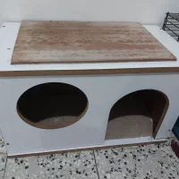 خرگوش لوپ و مینیاتوری و ساده و وسایل|موش و خرگوش|شیراز, کوشک میدان|دیوار