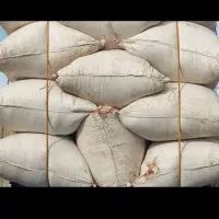 کاه|لوازم جانبی حیوانات|قره پشتلو, |دیوار