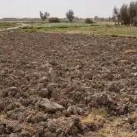 فروش-زمین-کشاورزی