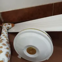 پنکه سقفی