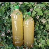 فروش آبغوره محلی و ارگانیک با دستگاه
