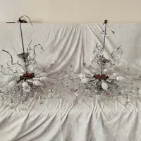 ۲ عدد لوستر