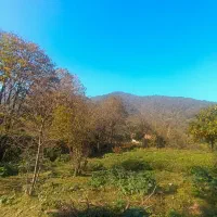 546متری کوهستانی سیاهمزگی شفت|فروش زمین و ملک کلنگی|احمدسرگوراب, |دیوار