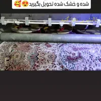 قالیشویی دلتا گنبد