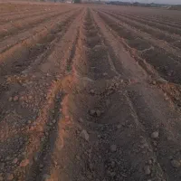 گوشه بندی و بست زنی
