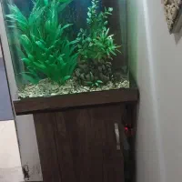 اکواریوم کمدی با ماهی