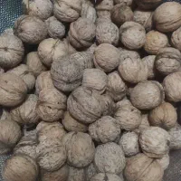 گردو استانه|خوردنی و آشامیدنی|دامغان, |دیوار