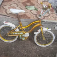 دوچرخه