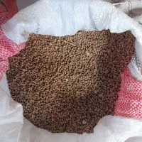 گاودانه۱۰۰کیلو