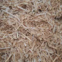 کاه عدس وجو کاه جو