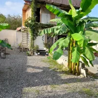 سوییت بدون اتاق|اجارهٔ کوتاهمدت آپارتمان و سوئیت|رشت, یخسازی|دیوار