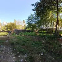 فروش-زمین-مسکونی-309-متر-در-رادیو-دریا