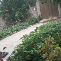 فروش یا معاوضه خونه ویلایی