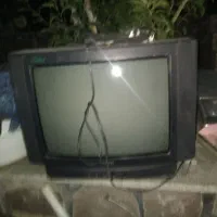 تلویزیون