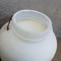 دوغ ترخینه