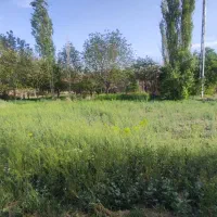 زمین-کشاورزی-باغ