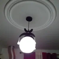 لوستر
