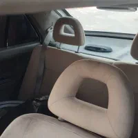 چینی یا ژاپنی بی رنگ