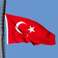 کار چوب بری جنگل در ترکیه