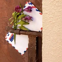 فروش موطبیعی