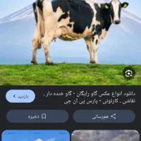 کارگر ماهر جهت شیردوشی   در گاوداری