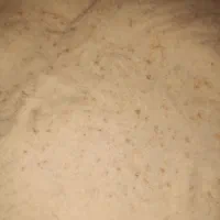 آردنون ساندویچی|خوردنی و آشامیدنی|شیراز, زند|دیوار