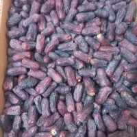 خرما پیارم درجه یک|خوردنی و آشامیدنی|حاجی آباد, |دیوار