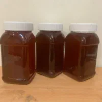 عسل درمانی ارگانیک|خوردنی و آشامیدنی|قوچان, |دیوار